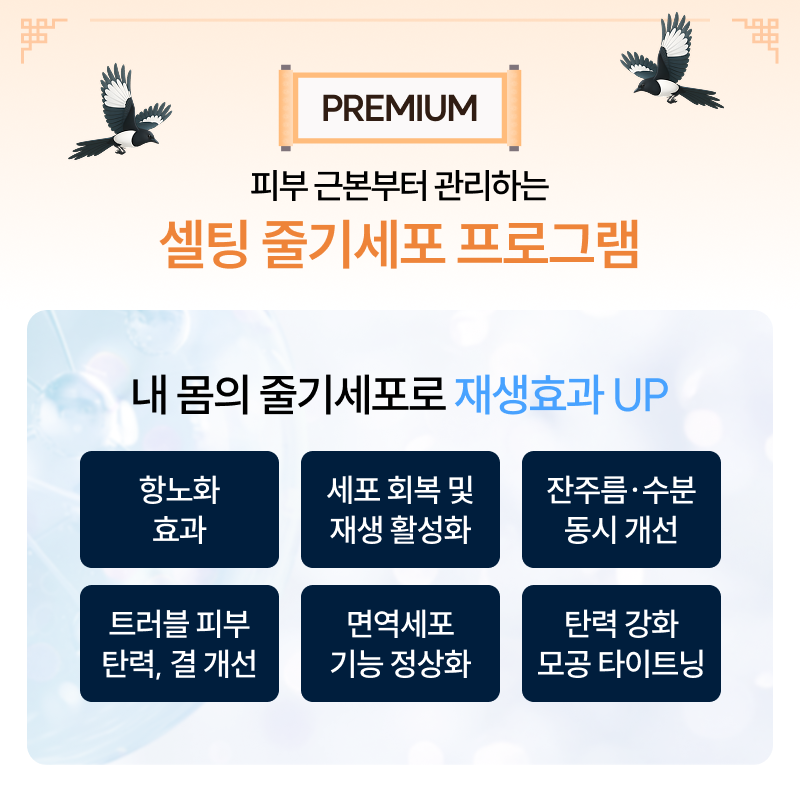 세포 레벨에서 시작되는 진짜 이너에이징 케어