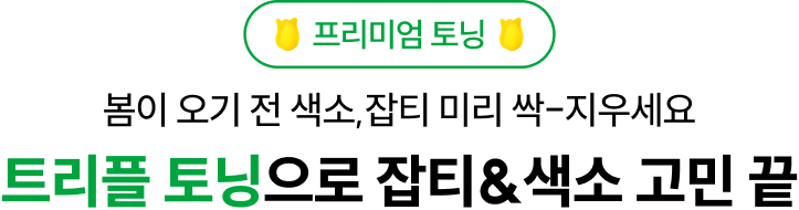 프리미엄 토닝 봄이 오기 전 색소,잡티 미리 싹-지우세요 트리플 토닝으로 잡티&색소 고민 끝