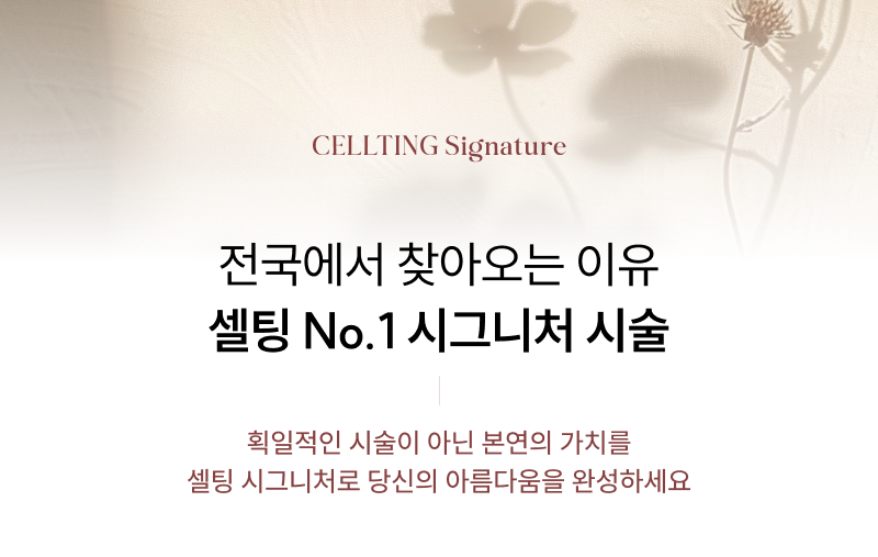 수원을 넘어 전국으로, 리프팅의 기준 셀팅 No.1 시그니처 시술
